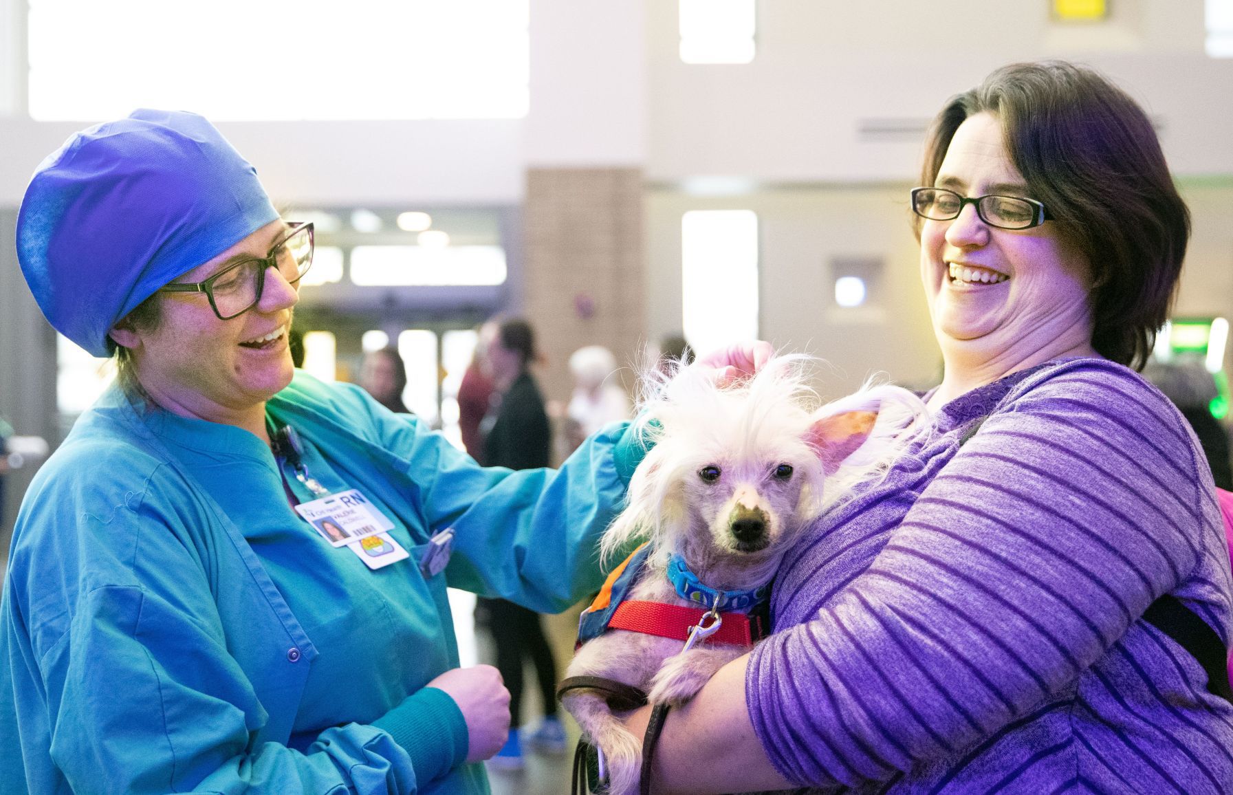 20200130_new_therapydogs_06kw